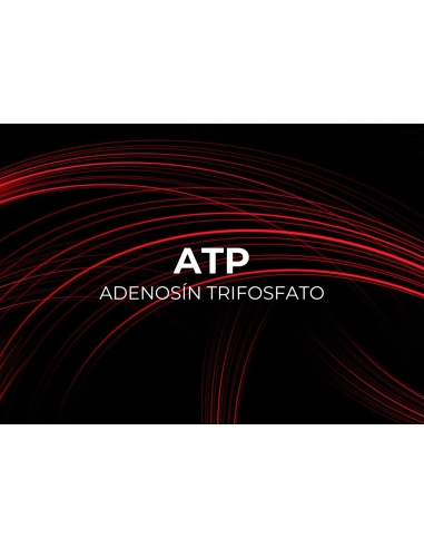 PRE WORKOUT. WIN WIN ENERGY GEL