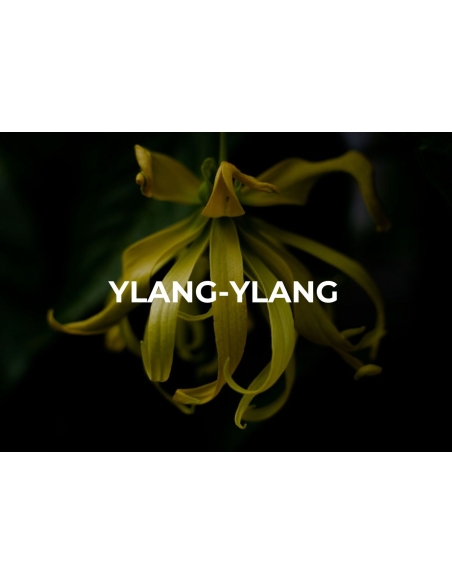 PRE WORKOUT. WIN WIN ENERGY GEL