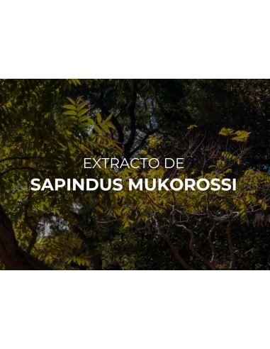 PRE WORKOUT. WIN WIN ENERGY GEL