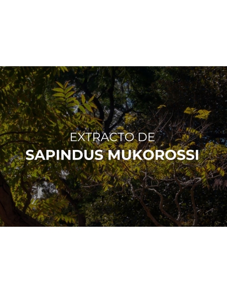 PRE WORKOUT. WIN WIN ENERGY GEL