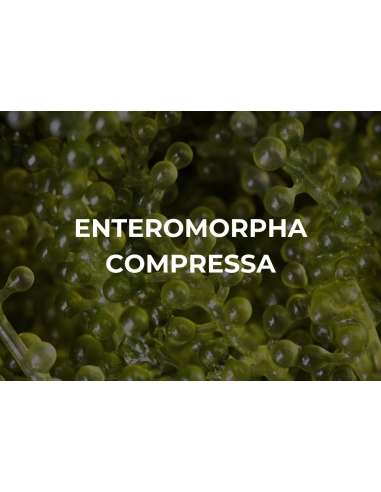 POST WORKOUT. ISOTONIC GEL