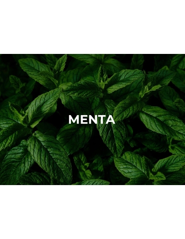 PURISSIMO FILLER CREAM