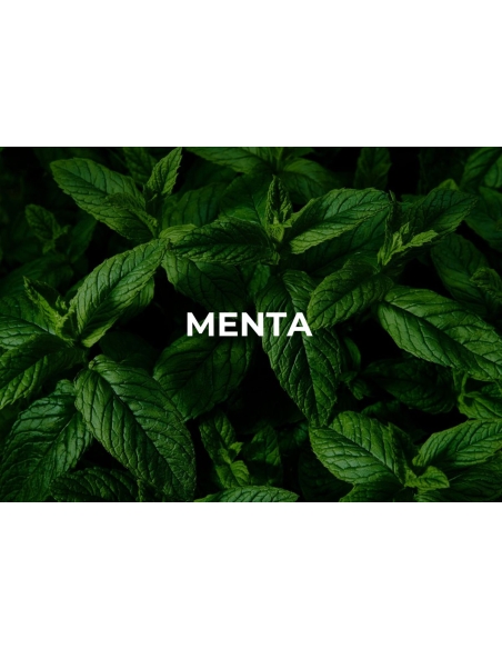 POST WORKOUT. ISOTONIC GEL